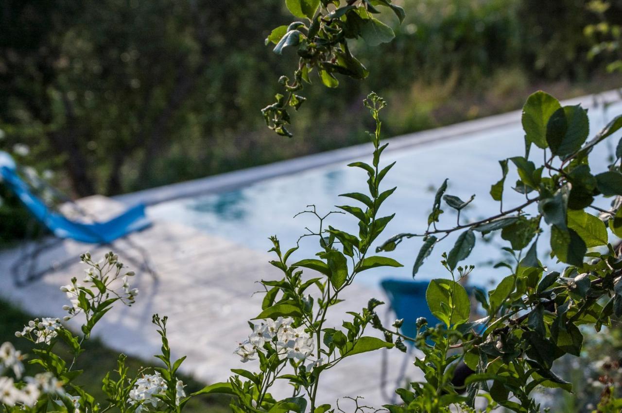 Conzano Tenuta San Rocco المظهر الخارجي الصورة